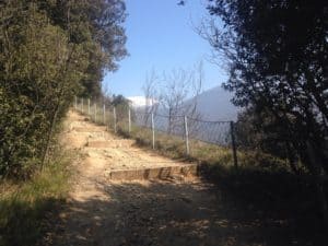 Laufen am Gardasee in Riva und Torbole